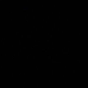 Meet your Posher, Destinee